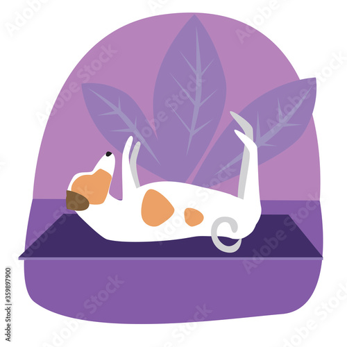 Jack Russell Terrier or cute character doing yoga on the background of plants, flat vector stock illustration with dog doing yoga asana on mat