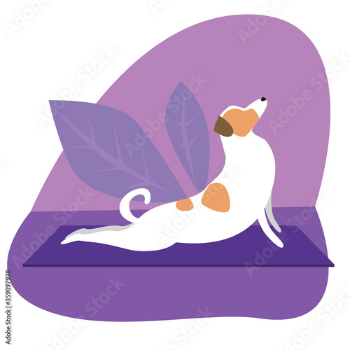 Jack russell terrier or cute character doing yoga on plants background, flat vector stock illustration with dog doing yoga asanas Cobra Pose