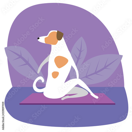 Jack russell terrier or cute character doing yoga on plants background, flat vector stock illustration with dog doing yoga asanas ardhamatsyasana