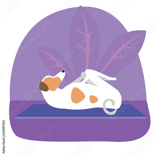 Jack russell terrier or cute character doing yoga on plants background, flat vector stock illustration with dog doing yoga asanas pavanamuktasana