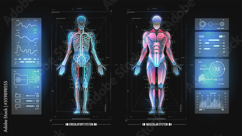 Body hologram, futuristic design. Human cloning concept. Innovation technology in medicine. Data monitors, statistics and diagrams, infographic. Hud vector Design.
