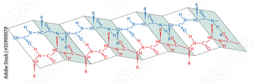 Foto Proteins are large biomolecules, or macromolecules, consisting of one or more long chains of amino acid residues