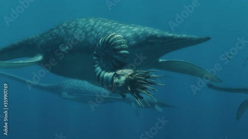 Plesiosaurs migrate in an ocean of ammonites photo