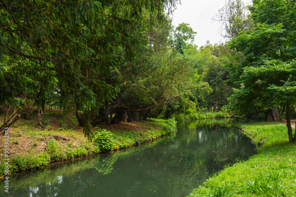 Small lake with lush tropical vegetation at the English Garden of Caserta Royal Palace, Campania, Italy.