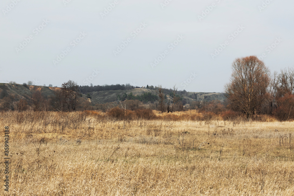 Spring landscape. Beautiful view of nature in early spring. A rare mixed forest and flood plain of a non-sick river on a clear sunny day. Spring landscape. Beautiful view of nature in early spring. A rare mixed forest and flood plain of a non-sick river on a clear sunny day.