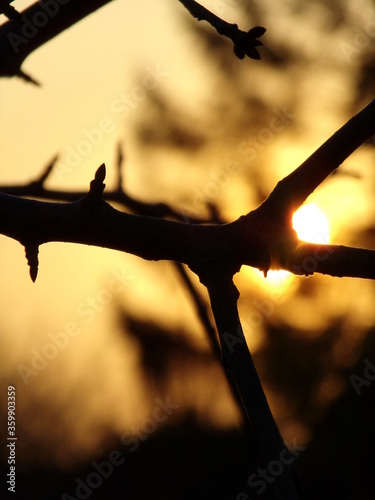 KODAK Digital Still Camera