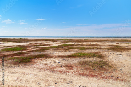 Fototapeta Naklejka Na Ścianę i Meble -  Lake Ebeity (Omsk region, Russian Federation), large salt lake with therapeutic mud. Beautiful natural view of pond and blue sky. Trip on weekend.