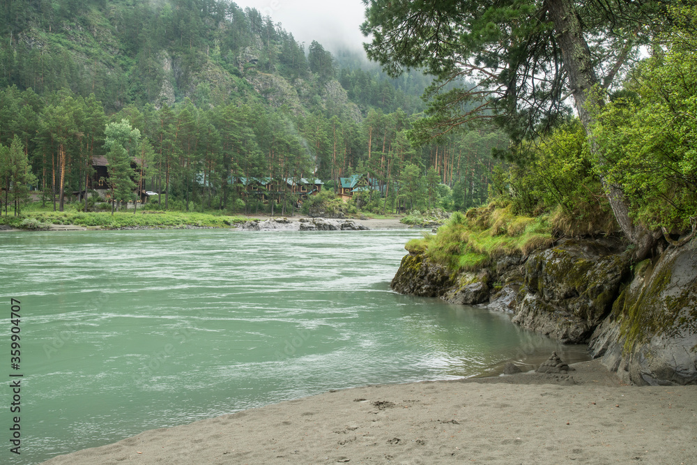 Fototapeta premium Katun river in the Altai mountains, Siberia. Forest on the banks. Summer morning.