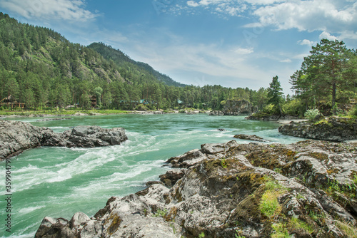 Katun river in the Altai mountains, Siberia. Forest and rocks on the banks. Summer travel.