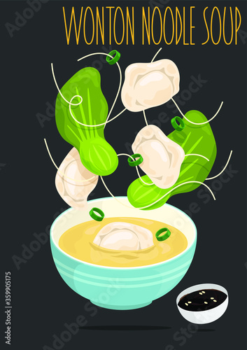 Chinese Wonton noodle soup. Vector illustration