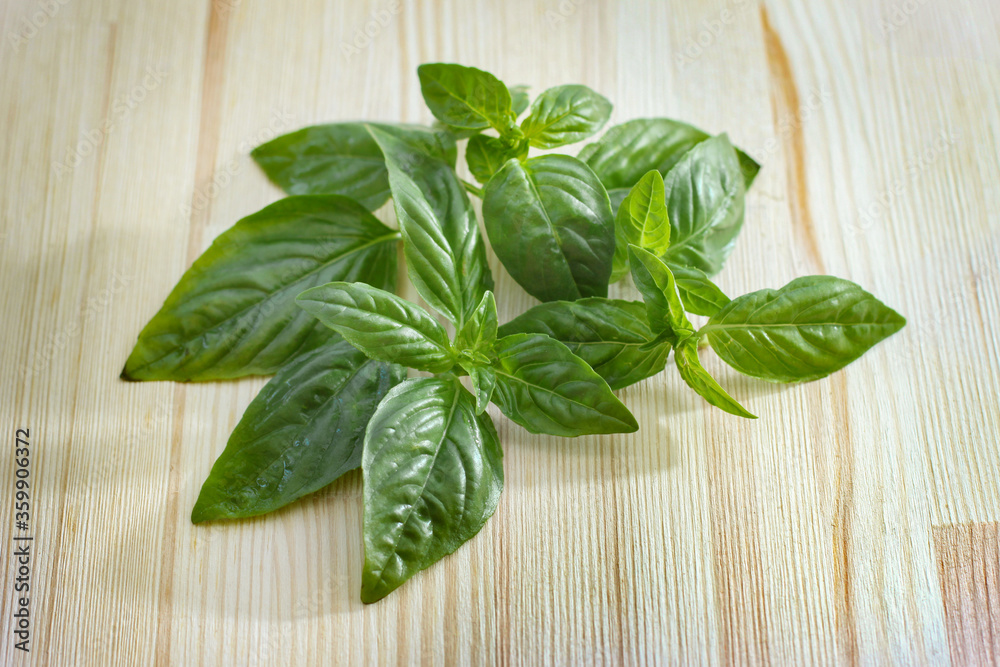 Fresh green basil on wooden table Fresh green basil on wooden table