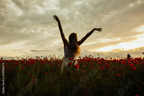 Silhouette of woman who stands toward the amazing sunset in a red poppy field with arms spread out. Summertime. Copy space.
