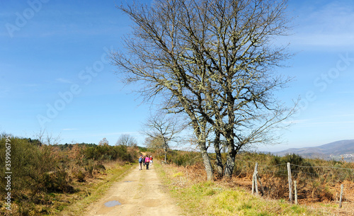 Pilgrims on the Camino de Santiago, Camino Sanabres from Campobecerros towards the town of Laza, Orense province, Spain