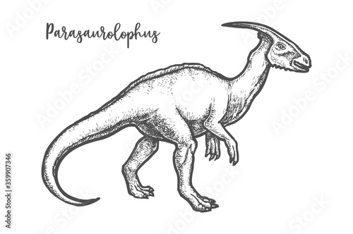 Engraved Parasaurolophus dino or sketch dinosaur vector