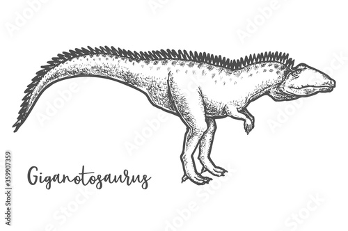 Giganotosaurus dino sketching. Sketch of dinosaur vector