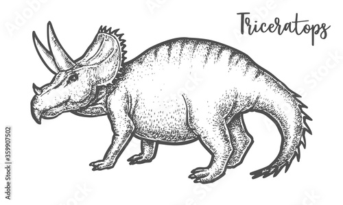 Hand drawing Triceratops dinosaur vector sign tatoo