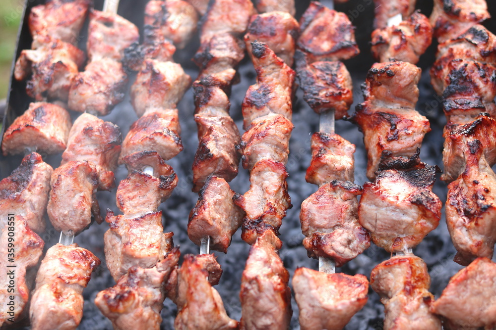 Cooking meat on skewers in barbecue on picnic