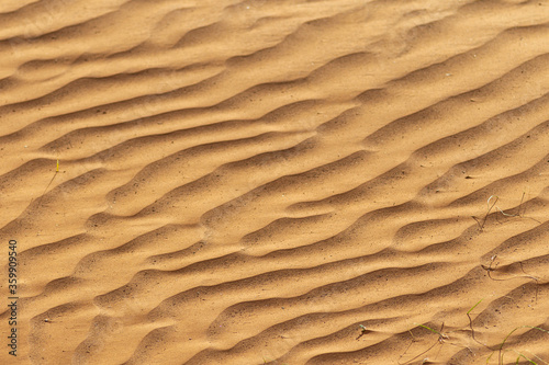 A sand pattern carved by the wind in country south australia on the 20th Junen 2020