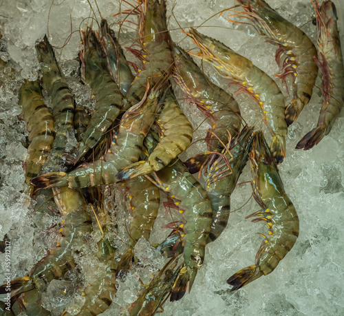 frozen shrimp on refrigerator