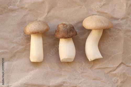 Beige concept. Mushrooms on a beige paper background. Homemade, farm, mushroom, cook, beige.