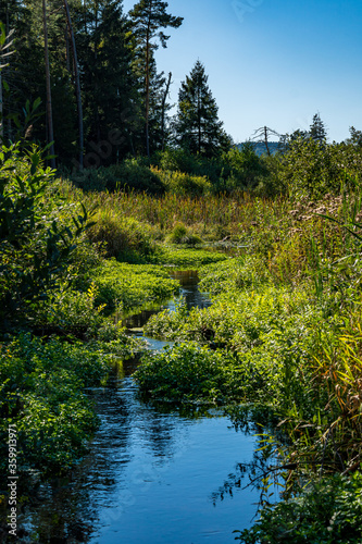 Nature reserve Pfrunger-Burgweiler-Ried in autumn