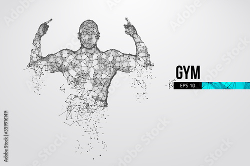 Abstract silhouette of a wireframe bodybuilder. Man on the white background. Gym. Convenient organization of eps file. Vector illustration. Thanks for watching
