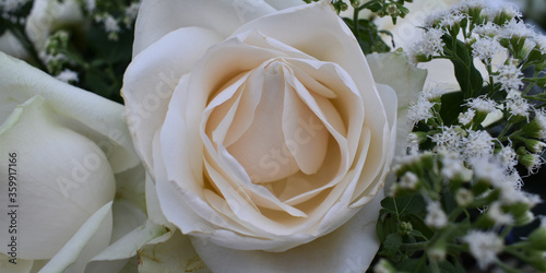 white rose bouquet