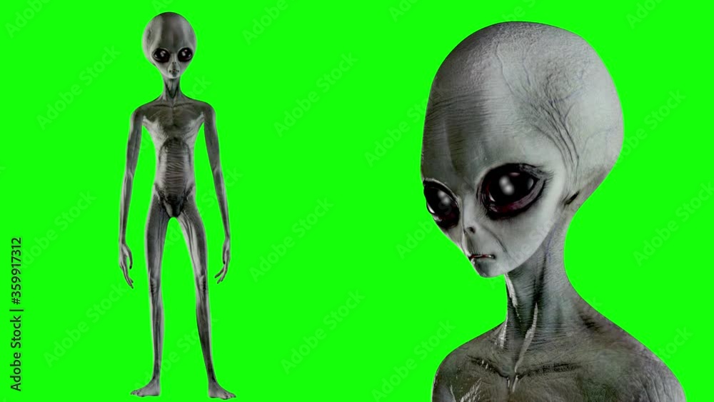 Scary gray alien stands and looks blinking on a green screen. UFO futuristic concept. 3D rendering.