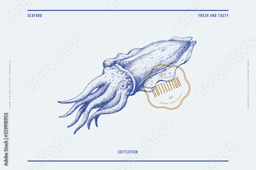 Hand-drawn image of cuttlefish on a light background. Retro picture for the menu of fish restaurants, markets, and shops. Vector illustration in vintage engraving style. photo