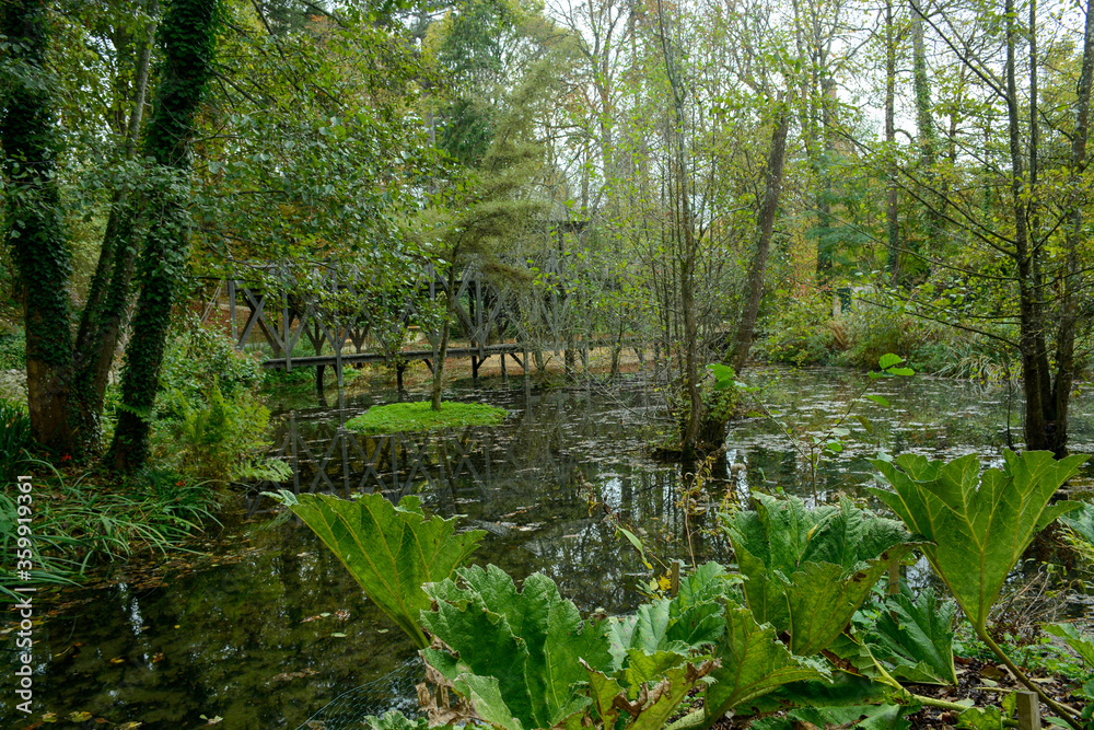 Obraz premium Park river bridge trees