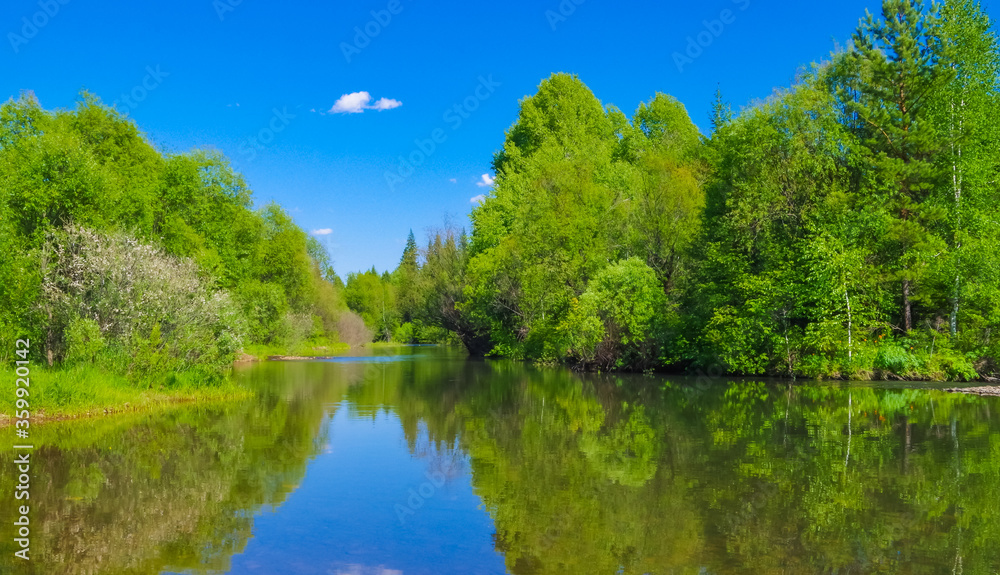 forest summer landscape with reflection in the water forest summer landscape with reflection in the water