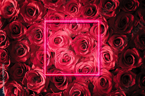 Fototapeta Naklejka Na Ścianę i Meble -  neon sign frame with red rose flowers in background.
Copy Space and Advertising.