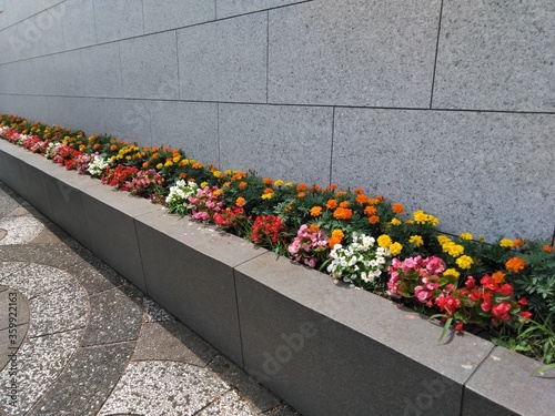 Wallpaper Mural flowers in the garden Torontodigital.ca