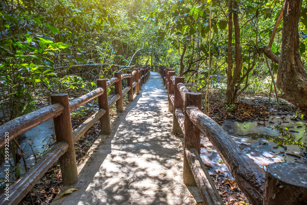 Forest travel bridge for tourists to see the beautiful nature