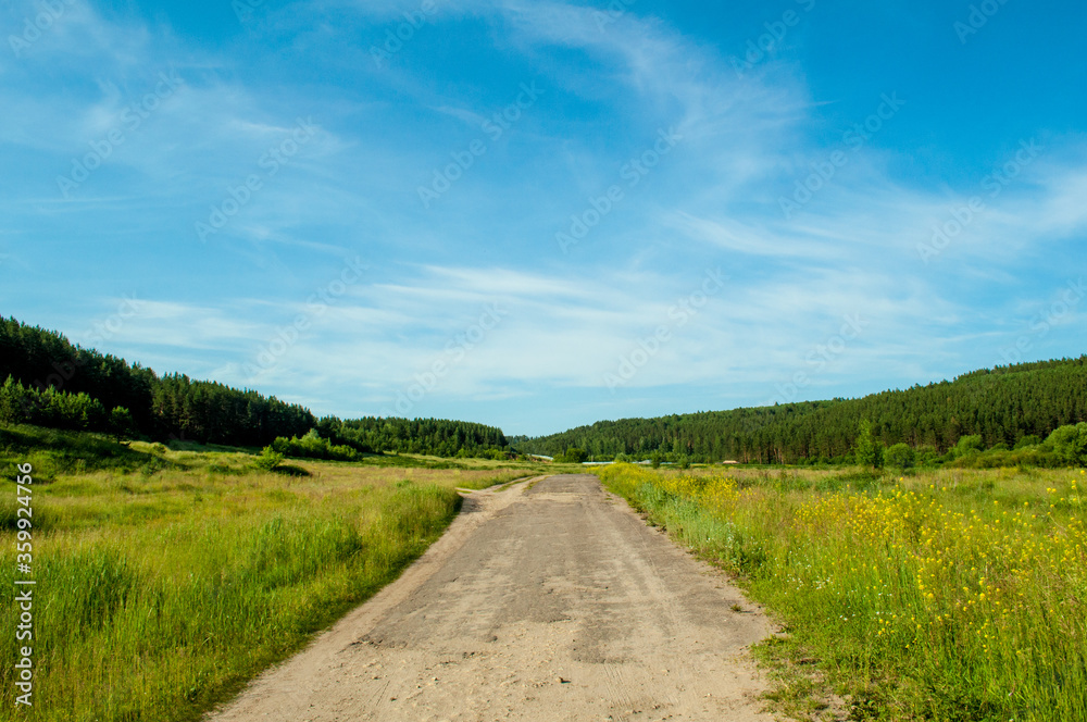 road in the forest