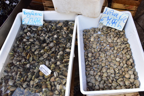 Molluschi in vendita sul banco del pesce del mercato di Palermo, Sicilia