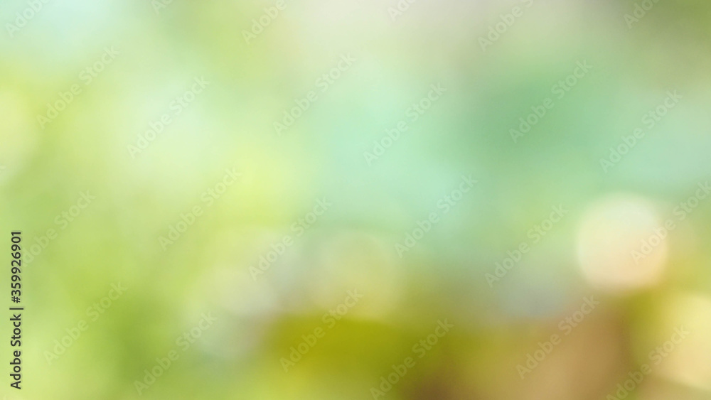 blurred colorful nature abstract background.