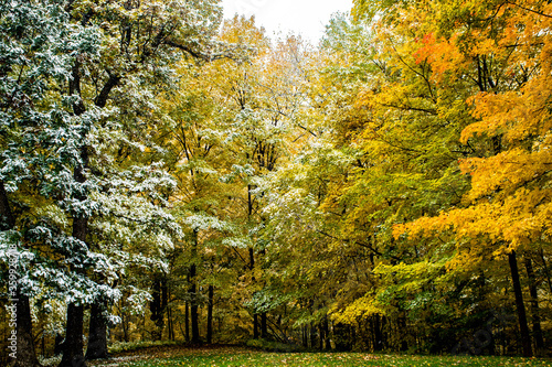 autumn in the park © Heather