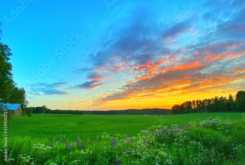 Field landscape with colorful sky.