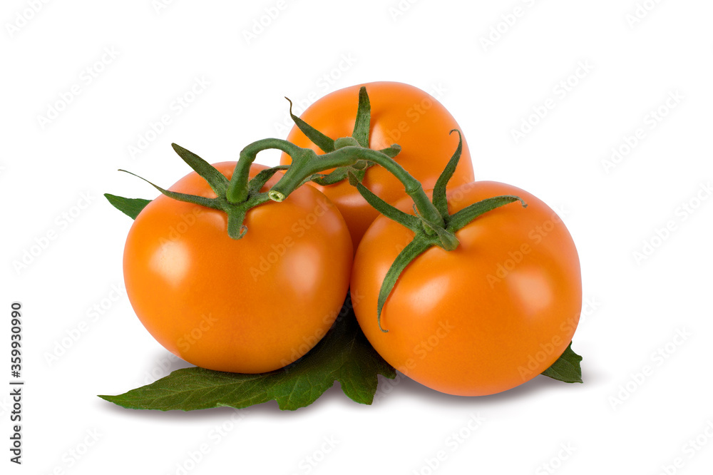 Branch of orange tomatoes isolated on white background with clipping path. Branch of orange tomatoes isolated on white background with clipping path.