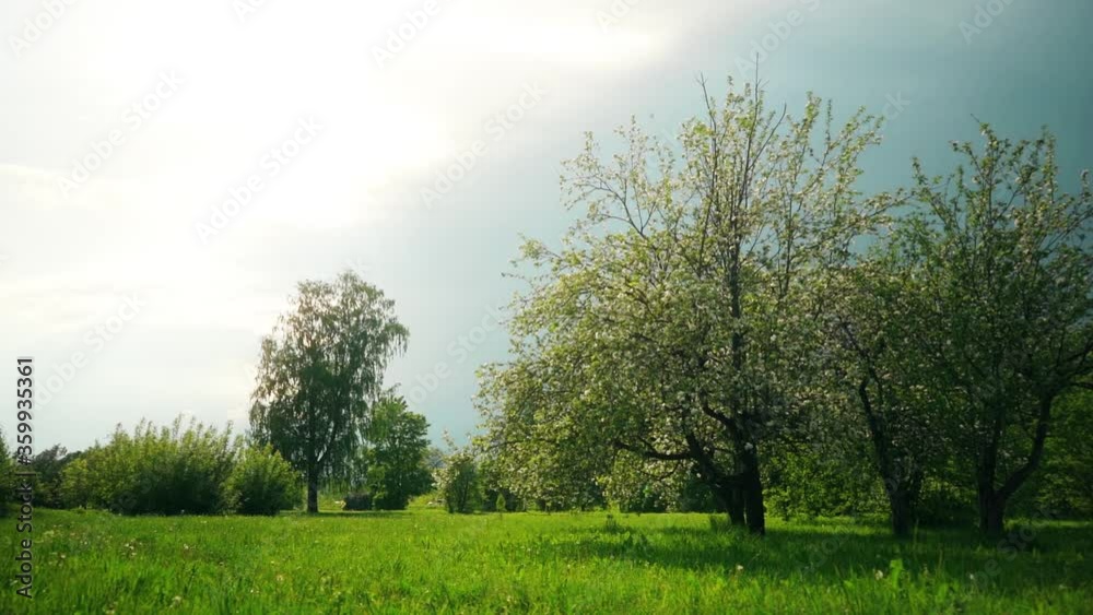 Blooming apple trees. Walking among city park.
Slow motion footage. Steadicam footage. Blooming apple trees. Walking among city park.
Slow motion footage. Steadicam footage.