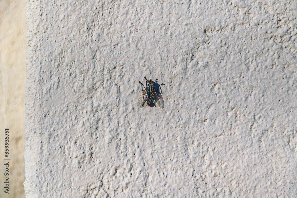 Fly Over Concrete Wall Fly Over Concrete Wall