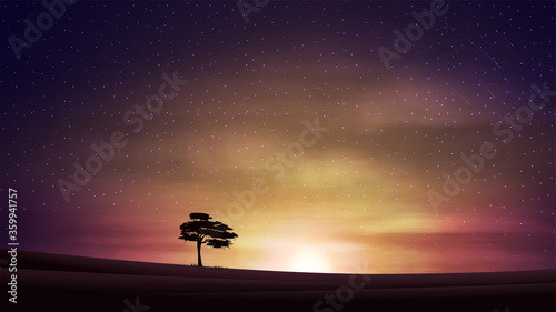 Evening landscape with orange sunset, starry cloudy sky, clean fields and alone tree on horizon.