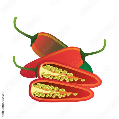 raw green, red, yellow jalapeno pepper. vector illustration	