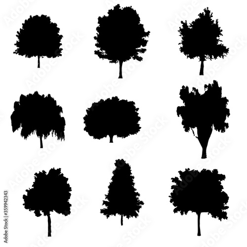 tree icon on isolation background