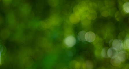 abstract circular green bokeh background, green nature spring and nature light in blurred style, copy space