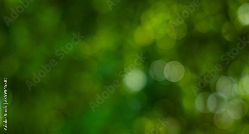 abstract circular green bokeh background, green nature spring and nature light in blurred style, copy space photo