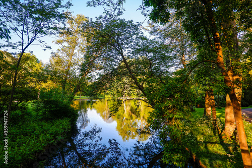 autumn in the forest