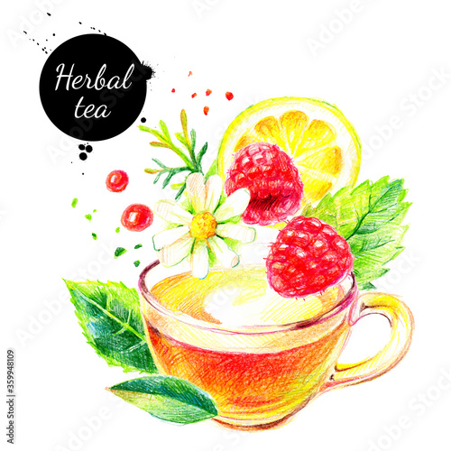 Watercolor color pencil hand drawn herbal tea illustration. Vector painted sketch isolated on white background