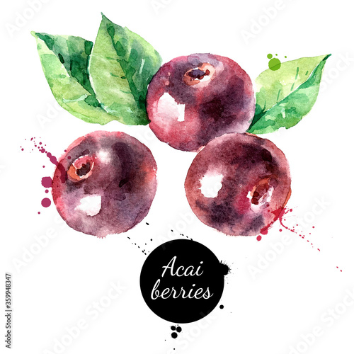 Watercolor hand drawn acai berry illustration. Vector painted sketch isolated on white background. Superfoods poster